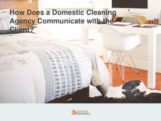 How Absolute Domestics Communicates with Its Customers