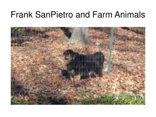 Frank SanPietro and Farm Animals