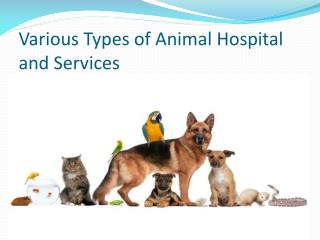 Various Types of Animal Hospital and Services