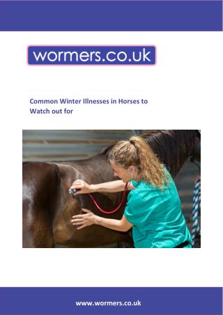 Common Winter Illnesses in Horses to Watch out for