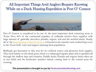 All Important Things Avid Anglers Require Knowing While on a Duck Hunting Expedition in Port O’ Connor