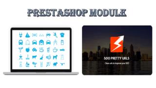 Prestashop Module