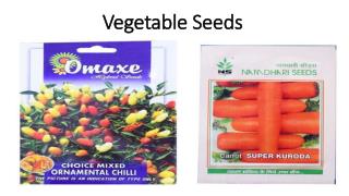 Vegetable Seeds