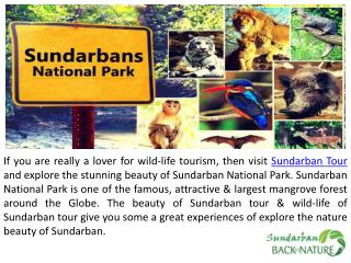 Offer Superb & Affordable Sundarban Tour Package