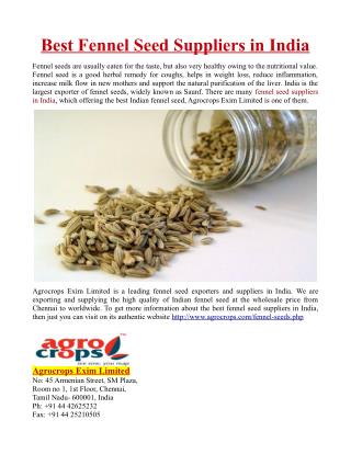 Best Fennel Seed Suppliers in India