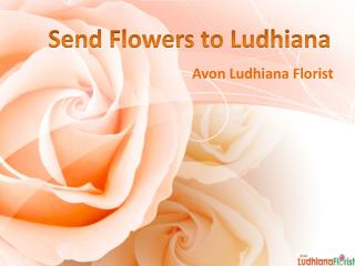 Send Flowers to Ludhiana