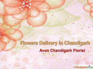 Flowers Delivery in Chandigarh with Avon Chandigarh Florist