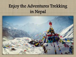 Enjoy the Adventures Trekking in Nepal