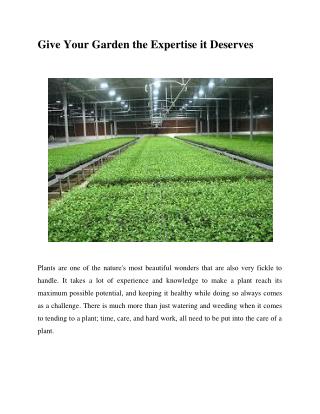 Give Your Garden the Expertise it Deserves