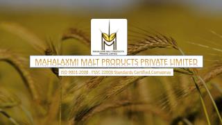 How to make diastatic malt powder from barley malt grain?