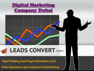 SEO Services Company Dubai