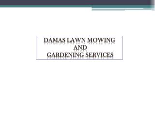 Find the High Quality Gardening Services in Parramatta