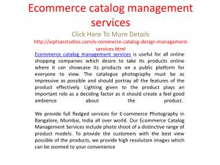 Ecommerce catalog management services