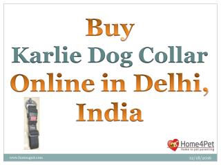 Buy Karlie Dog Collar Online in Delhi, India