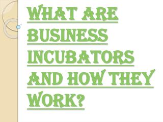 Working of Business Incubators