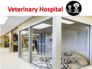 Veterinary Hospital-Animal Emergency Service