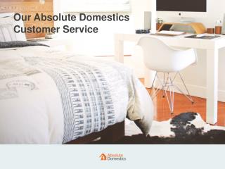 How Does the Absolute Domestics’ Customer Service Team Work Daily?