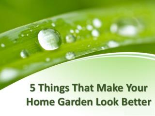 5 things that make your home garden look better