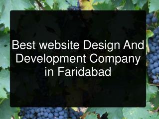 Web Designing Company Faridabad, Website Designing Faridabad