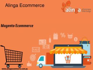 Use Magento Ecommerce Platform For Online Store