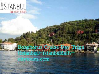 Bosphorus cruise day trips (Istanbul) istanbuldaily-citytours.com