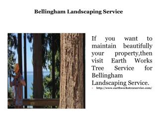Bellingham Landscaping Service