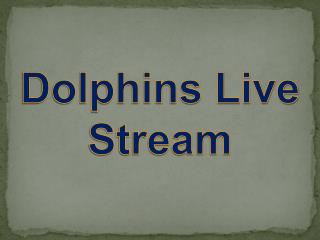 Dolphins live stream