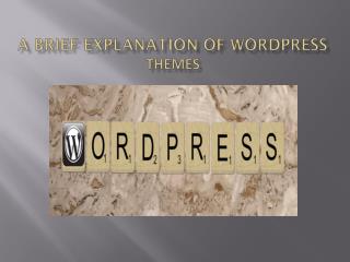 A Brief Explanation Of Wordpress Themes