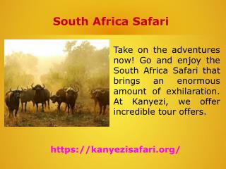 South Africa Safari Best