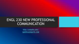 ENGL 230 NEW PROFESSIONAL COMMUNICATION
