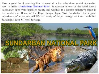 Enjoy Best Sundarban Tour & Travel Package with Affordable Price