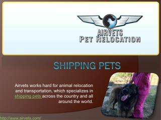 Shipping Pets