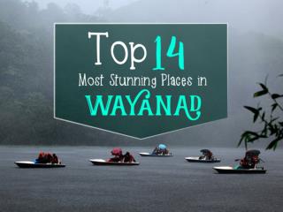 Top 14 Most Stunning Places in Wayanad