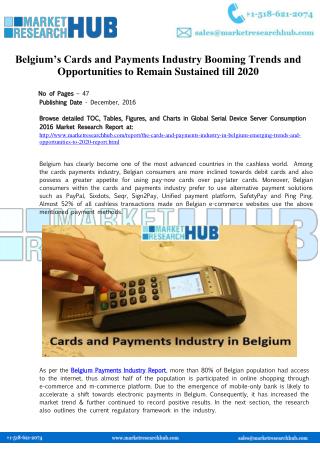 Cards and Payments Industry in Belgium Industry Report