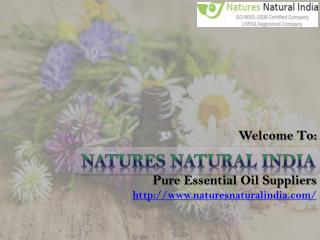 Get Exclusive Collection of Natural Essential Oils from Naturesnaturalindia.com