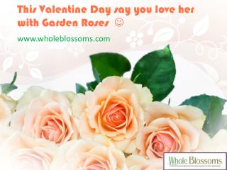 Wholesale Roses For Sale - www.wholeblossoms.com