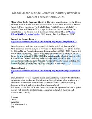 Global Silicon Nitride Ceramics Industry Overview 2016-2021