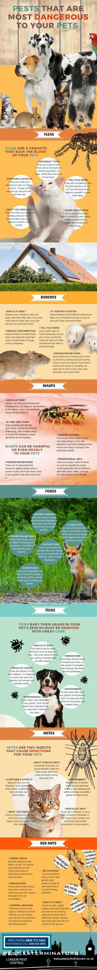 Top most dangerous pests for your pets