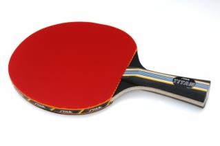 Best Reviews Hunt - Ping Pong Paddle