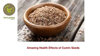 Amazing Health Effects of Cumin Seeds