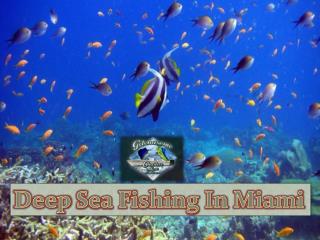 Deep sea fishing in Miami