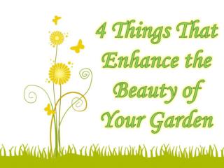 4 Things That Enhance the Beauty of Your Garden