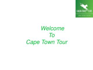 Cape Town Private Tours