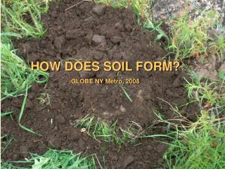 HOW DOES SOIL FORM? GLOBE NY Metro, 2008