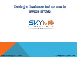 Best SEO Company in Pune, SMO, Internet Marketing |Skymo‏ Digiworld