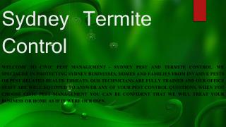 Hire professional termite control corporation.