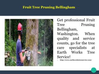 Fruit Tree Pruning Bellingham