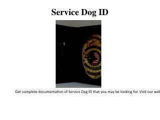 Search and Rescue Dog ID