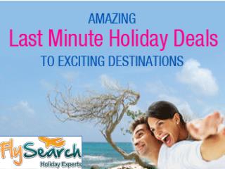 Amazing Last Minute Holiday Deals | FlySearch