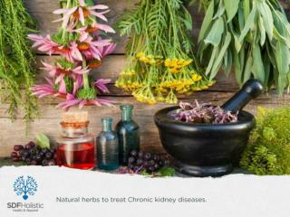 Natural herbs to treat Chronic kidney diseases.pptx